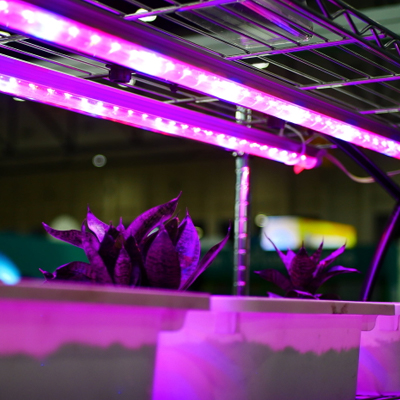 Article: Greenhouse Lighting: Automation & Control